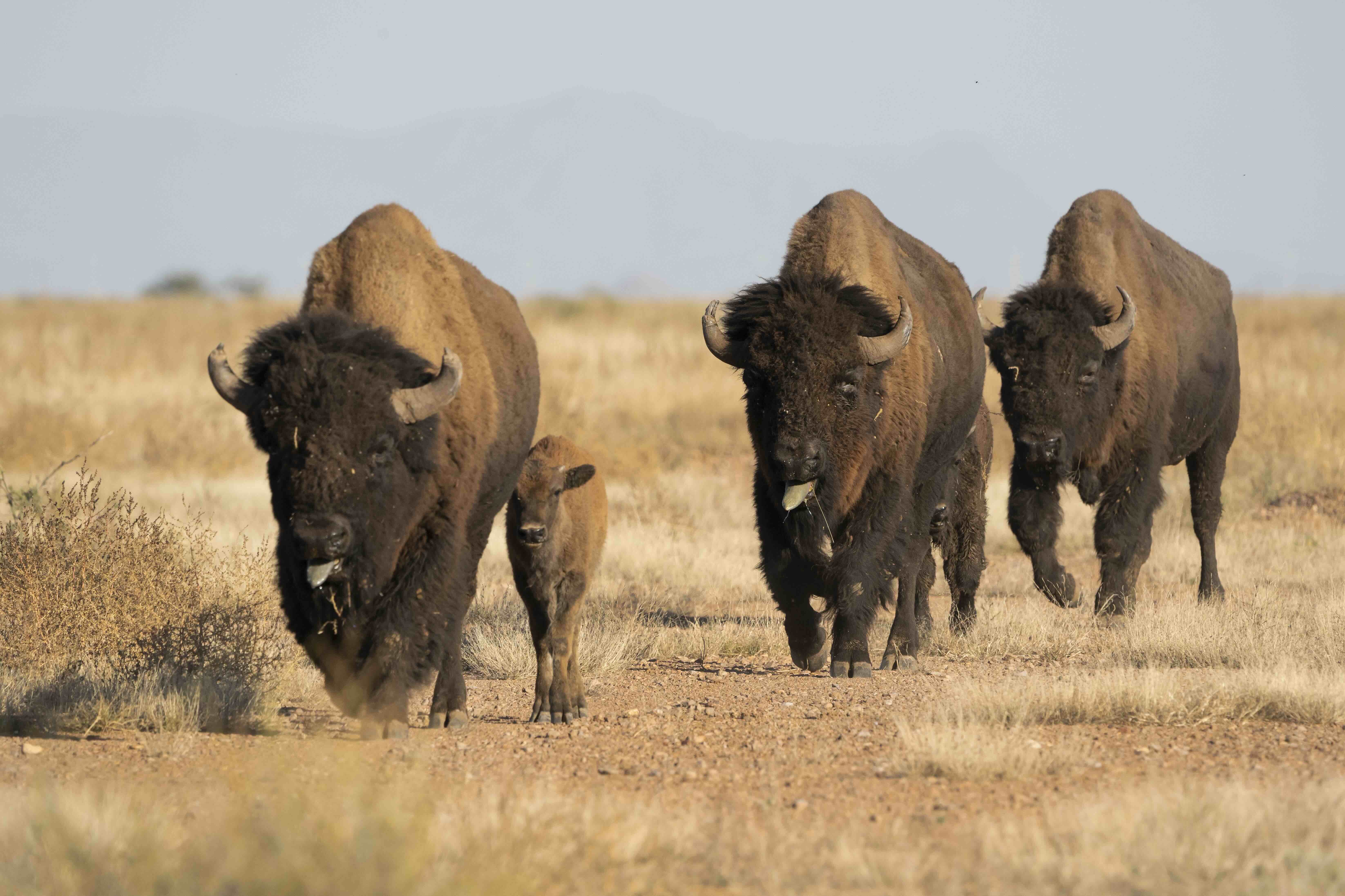 Foto: Tamara Blazquez Haik